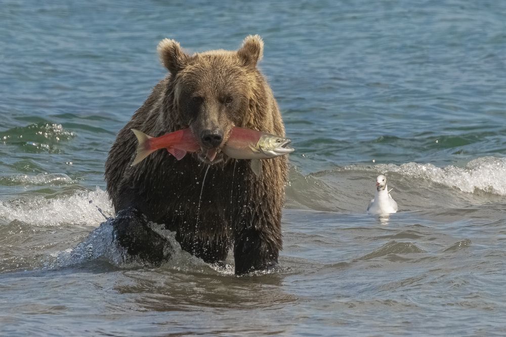 Photograph by Юлия Хобта