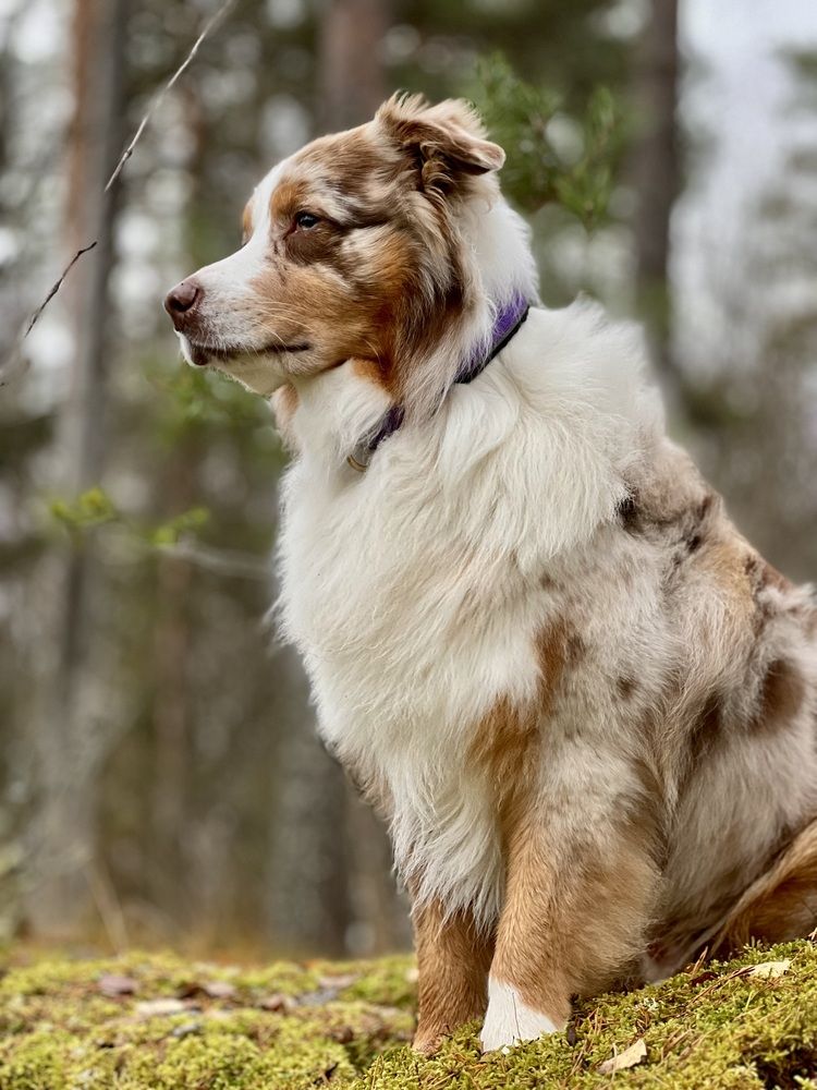 Photograph by Мария Гончарова