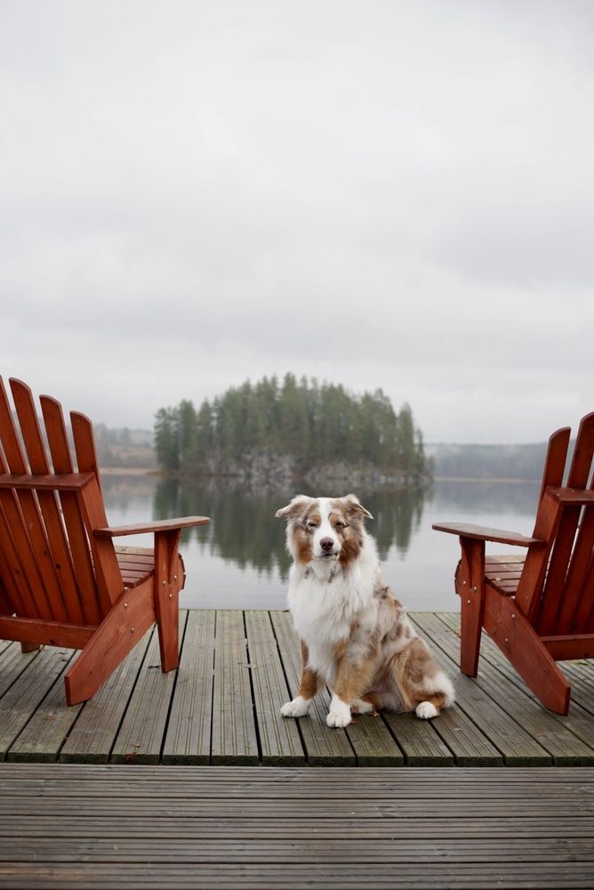 Photograph by Мария Гончарова