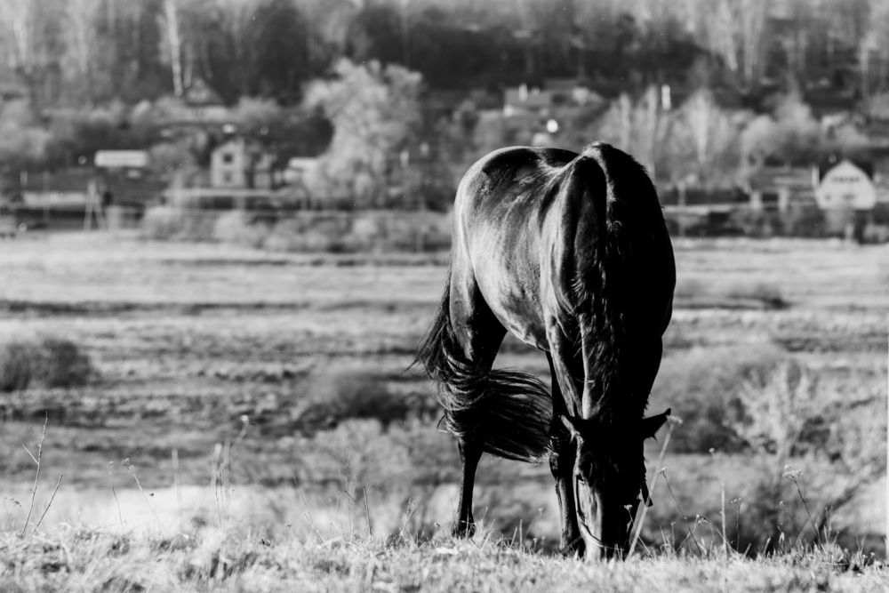 Фотография автора Aamoda Kitchen