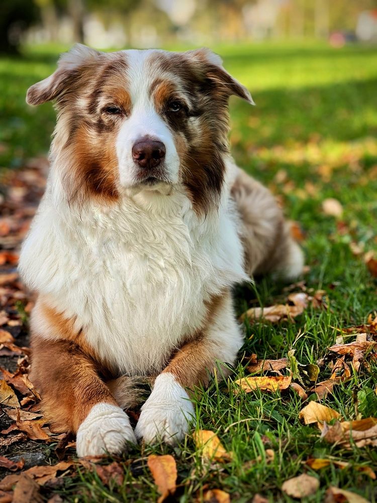 Photograph by Мария Гончарова