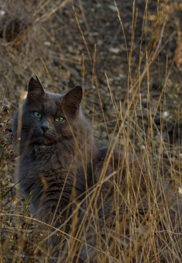 Photograph by Елена Абрамова