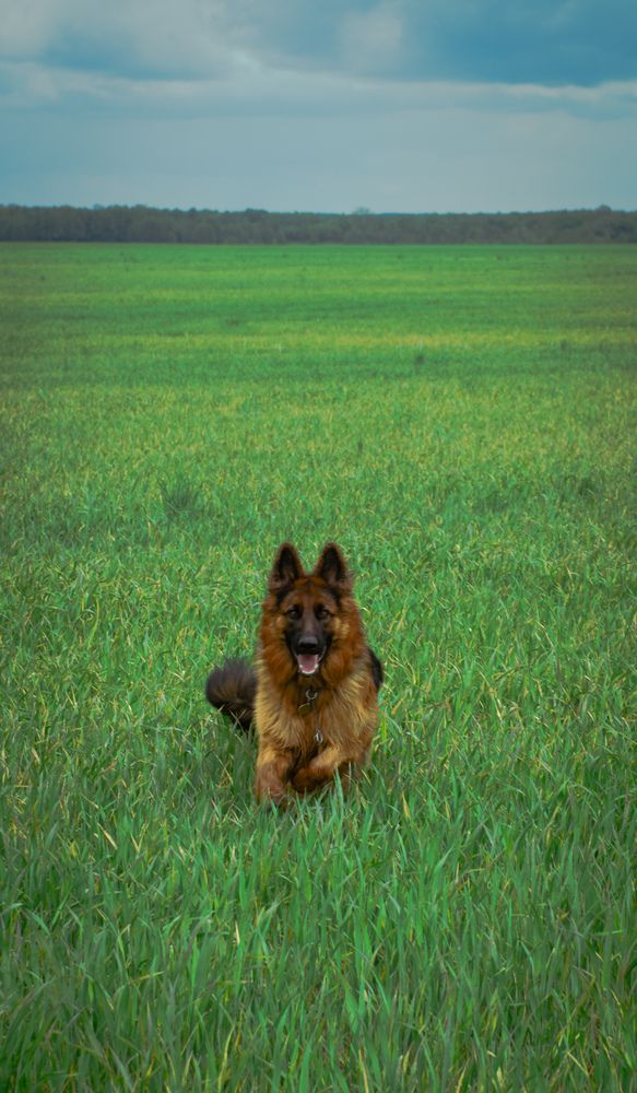Фотография автора Геннадий Ломеко