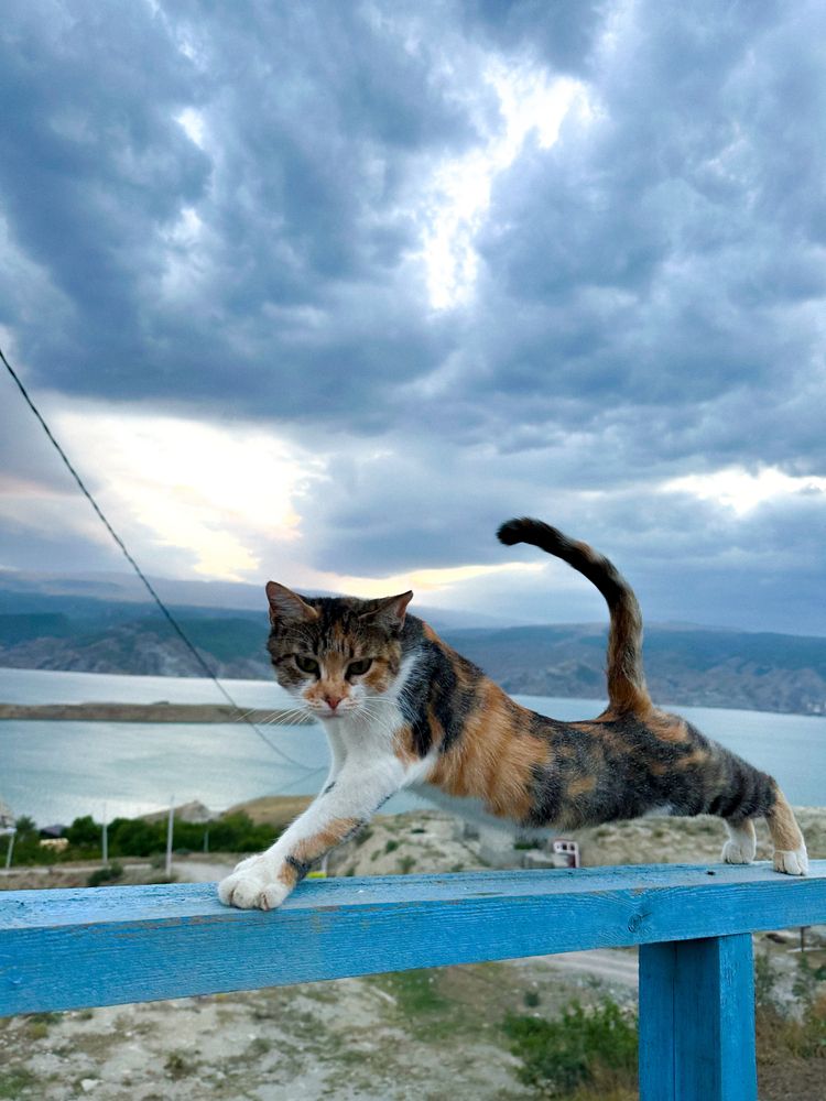 Photograph by Polina Pisar