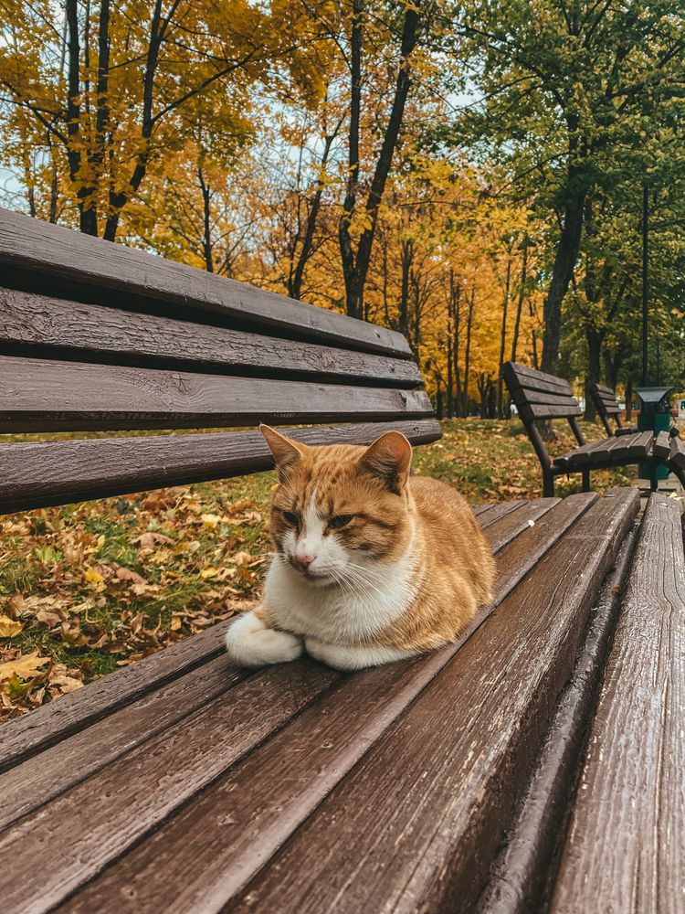 Photograph by Polina Pisar
