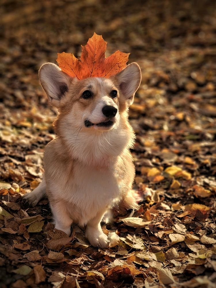 Photograph by Ольга Захарикова