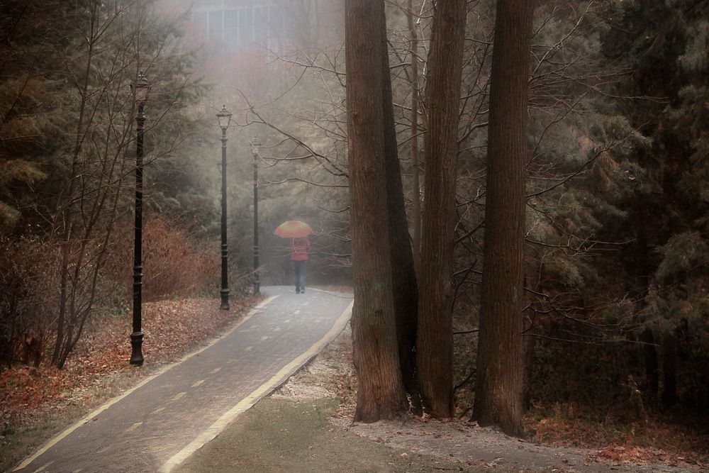 Photograph by Роман Гурененко