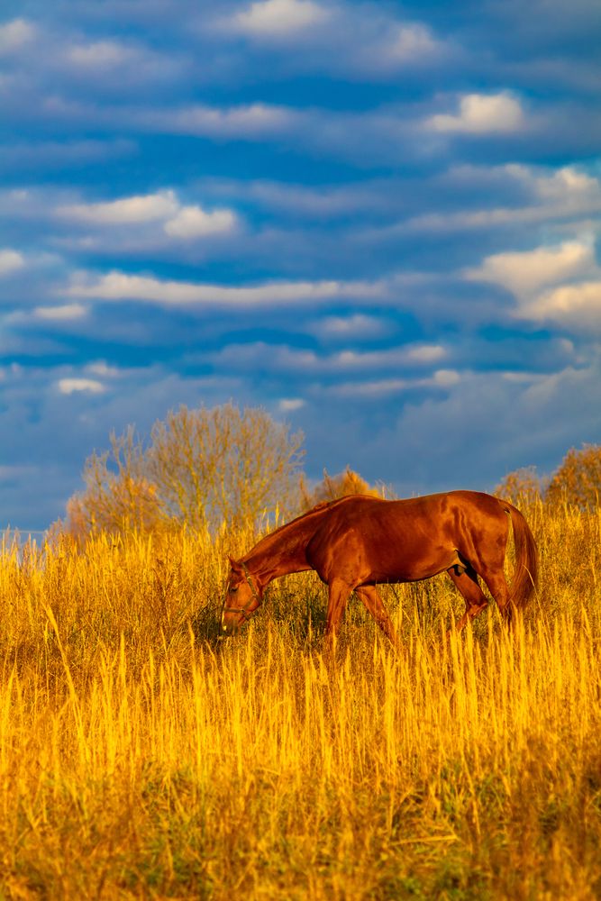 Фотография автора Aamoda Kitchen