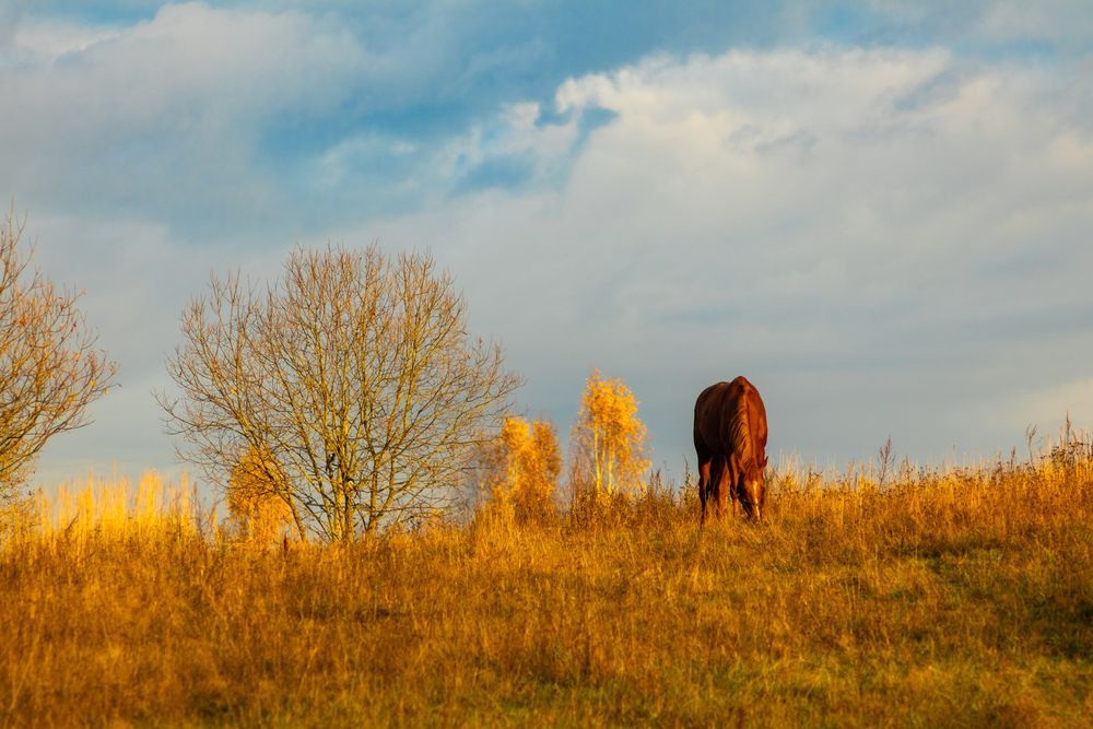 Фотография автора Aamoda Kitchen