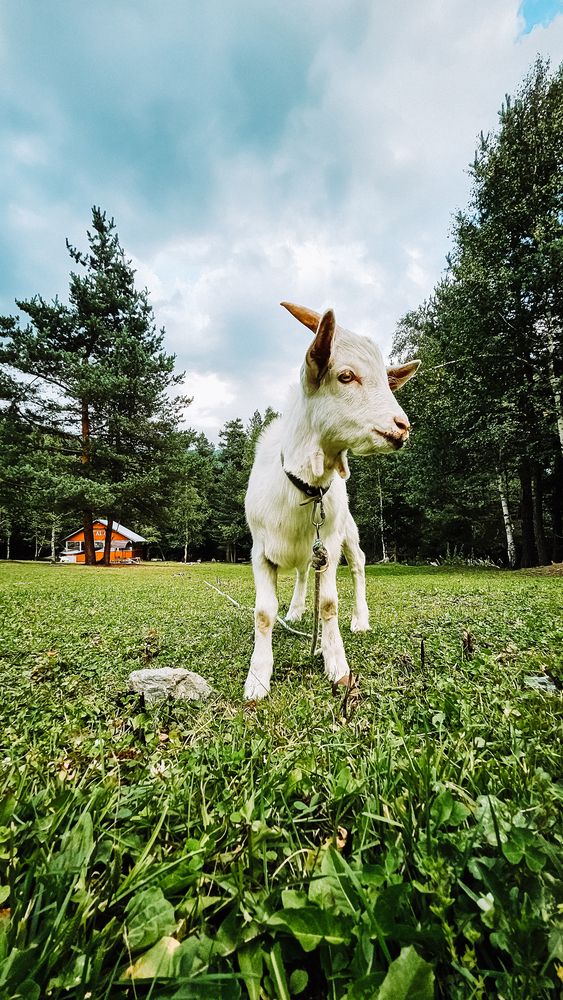 Photograph by Жанна Лиса