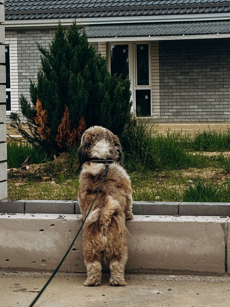 Photograph by Анастасия Короленко