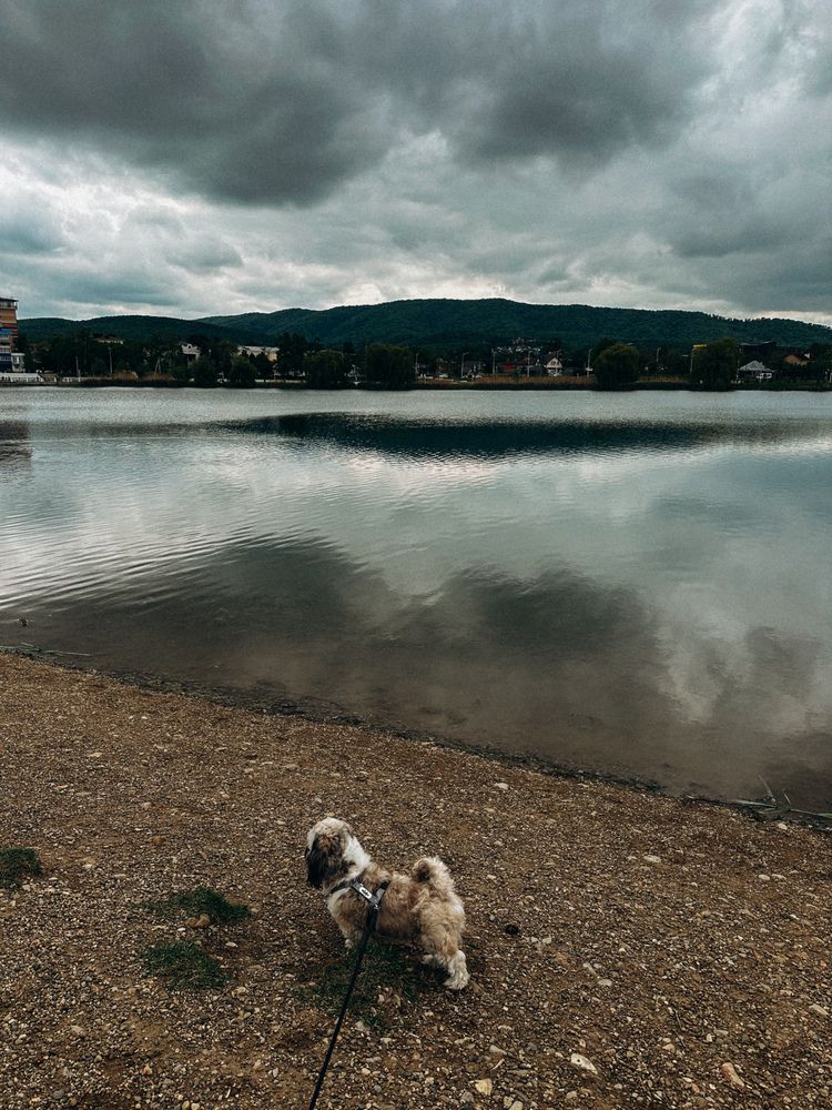 Photograph by Анастасия Короленко