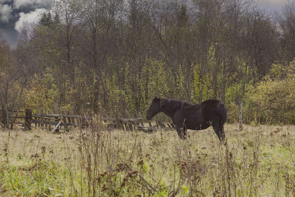 Photograph by Алексей Патлах