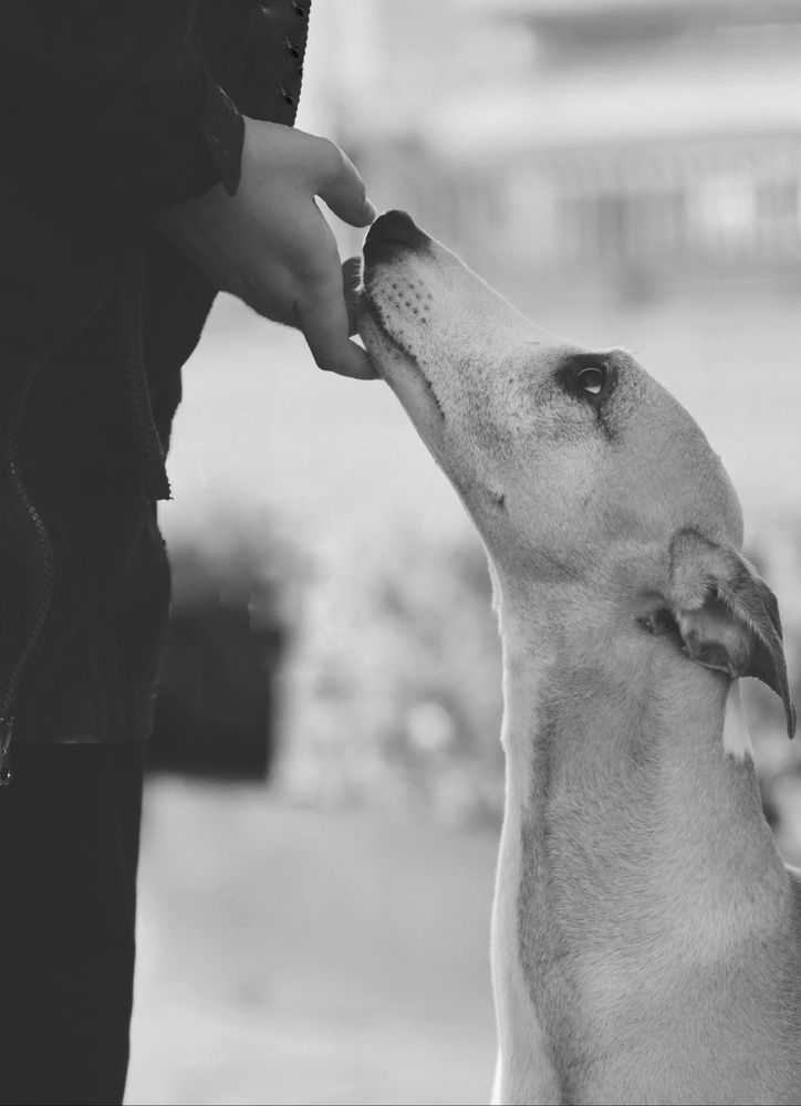 Photograph by Татьяна Федченко