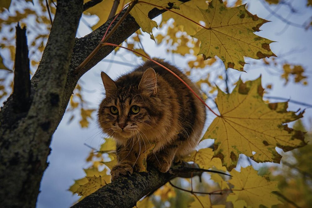 Photograph by Ольга Куликова
