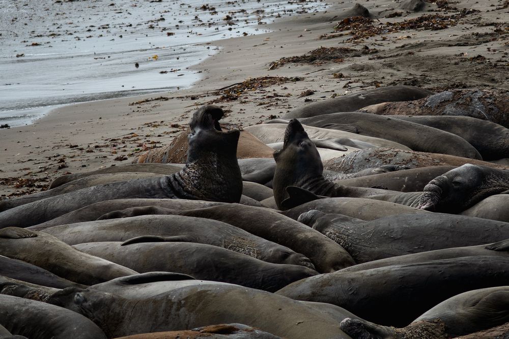 Photograph by Александр Волков