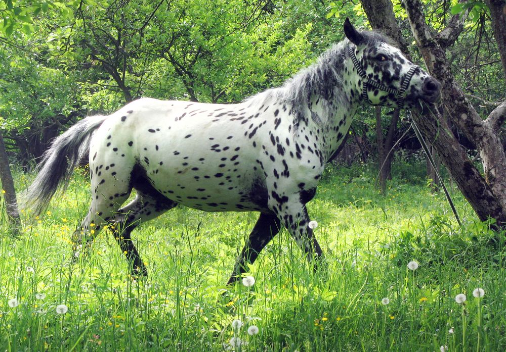 Photograph by Ионова Татьяна