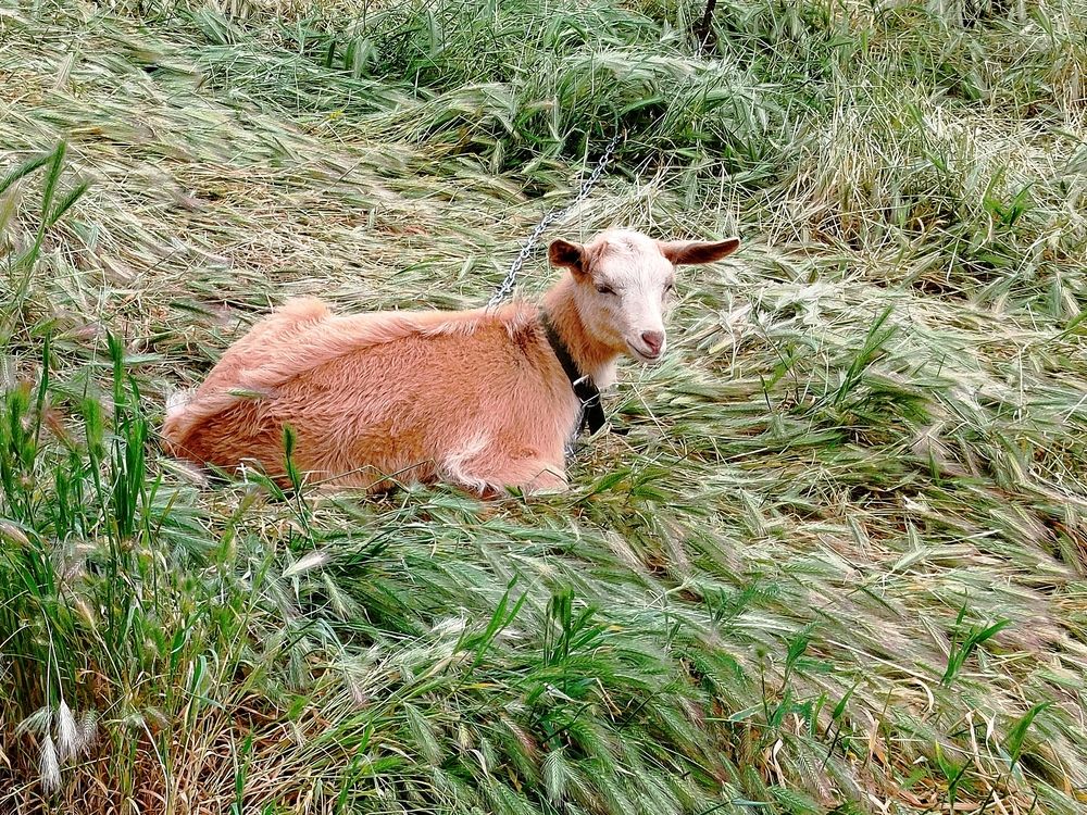 Photograph by Наталья Назаренко