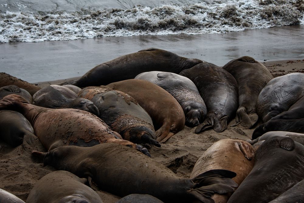 Photograph by Александр Волков