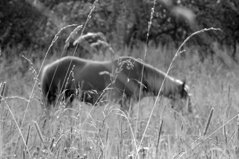 Photograph by Ионова Татьяна