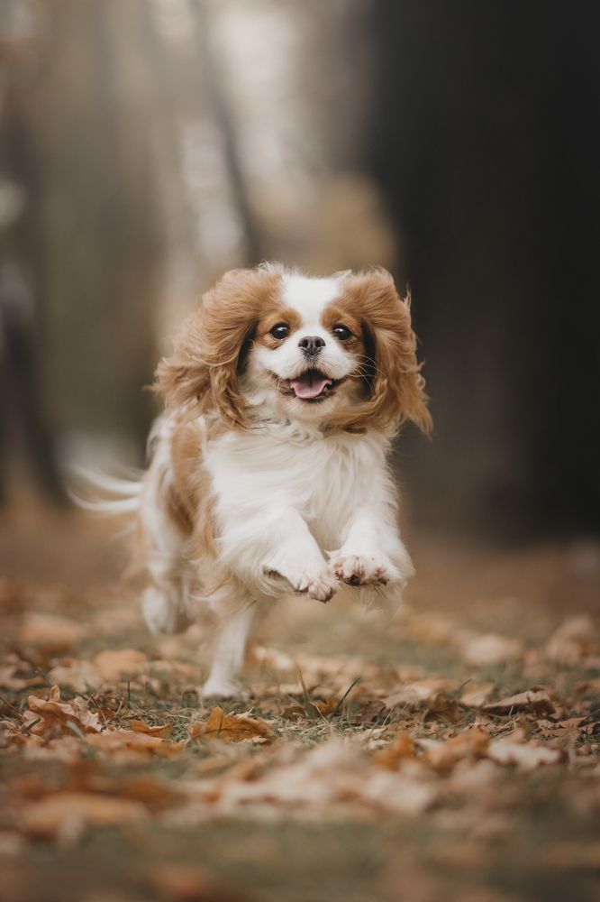 Photograph by Александра Пугачёва