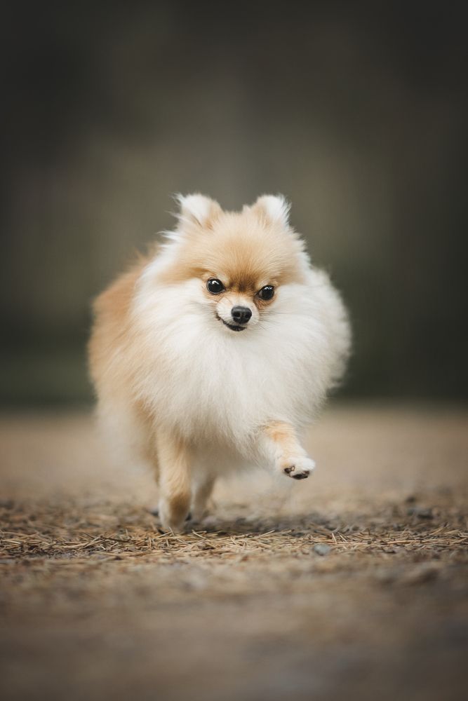 Photograph by Александра Пугачёва