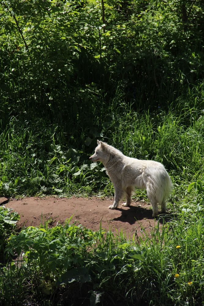 Photograph by Хайбуллина Флора