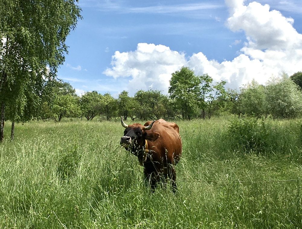 Photograph by Ионова Татьяна