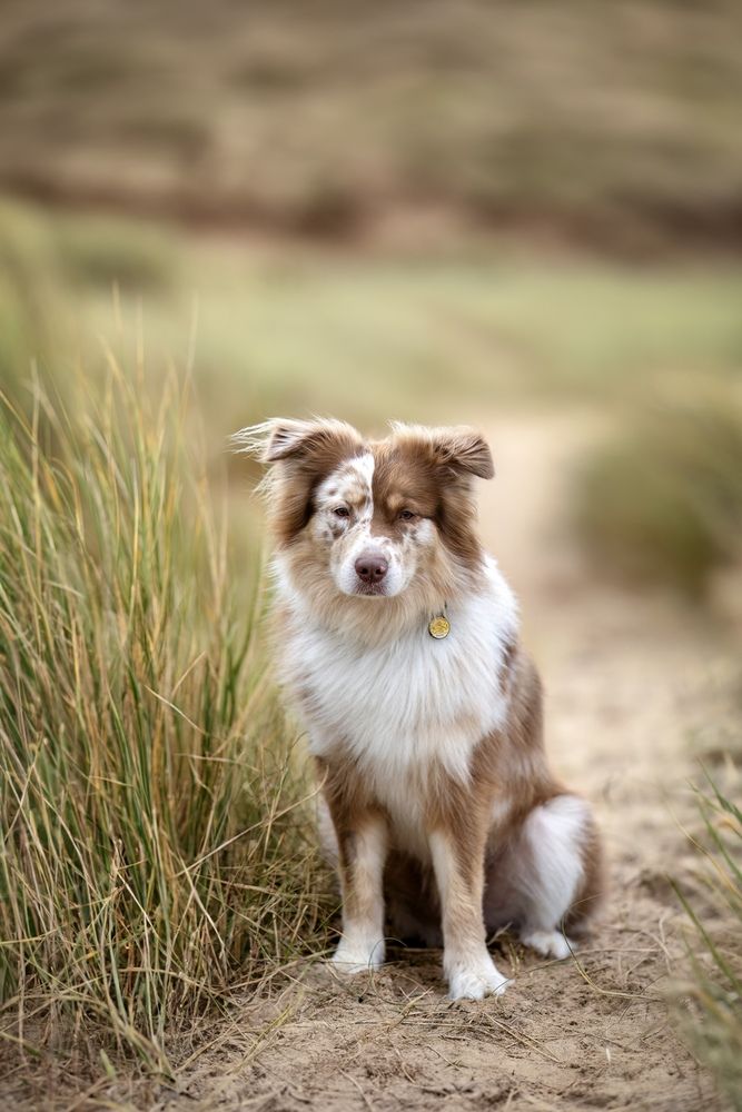 Photograph by Sina Möller