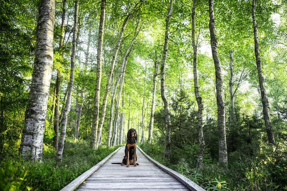 Photograph by Sina Möller