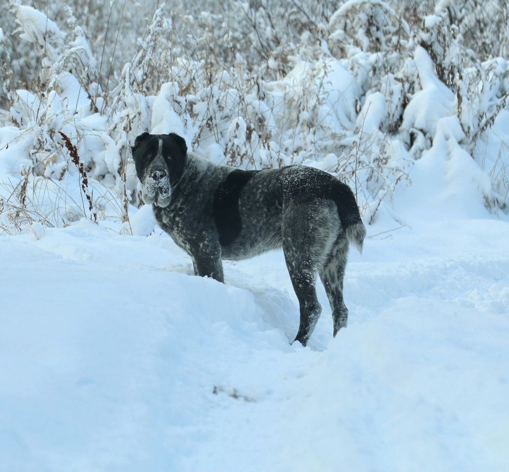 Photograph by Лариса Ким
