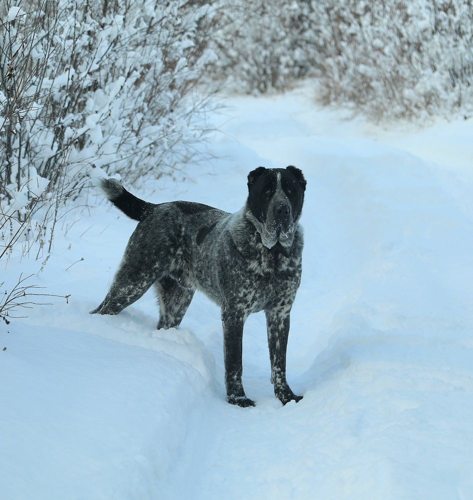 Photograph by Лариса Ким