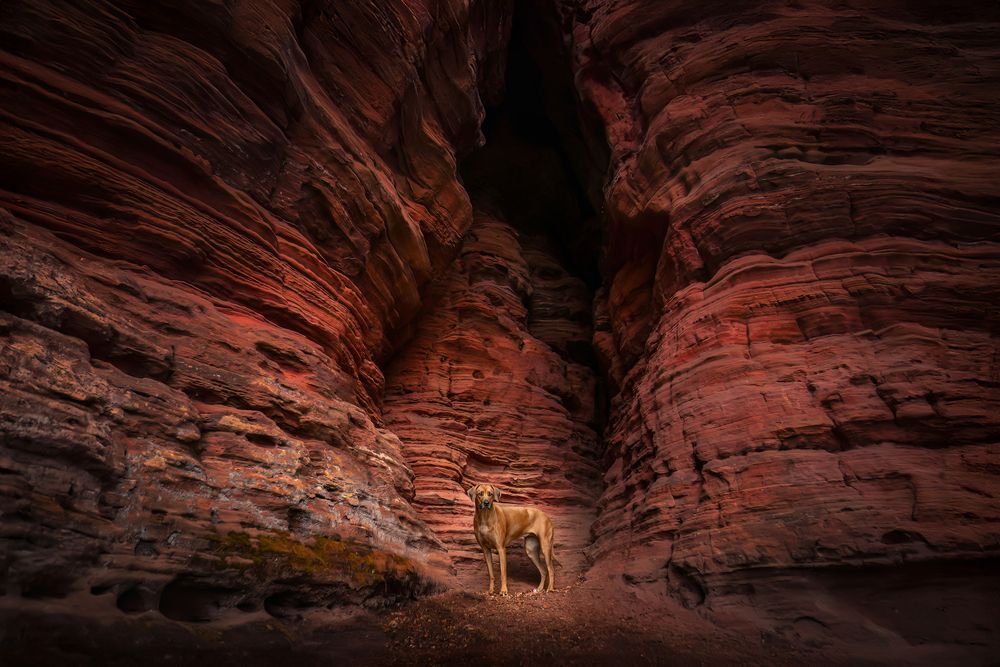 Photograph by Sina Möller