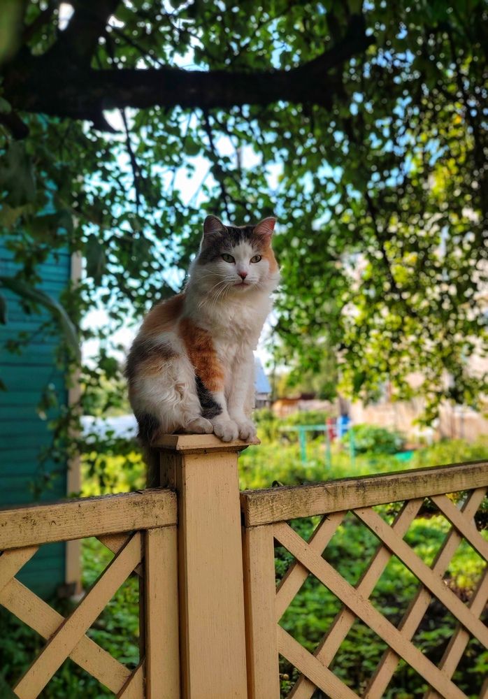 Photograph by Юлия Носкова