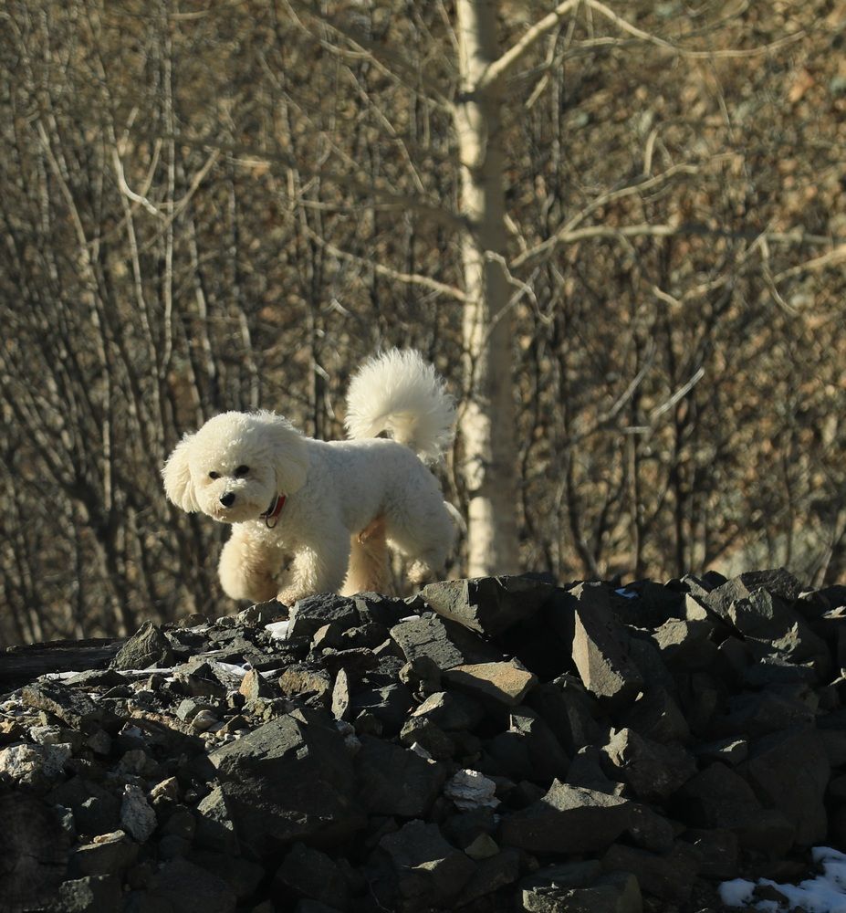 Photograph by Лариса Ким