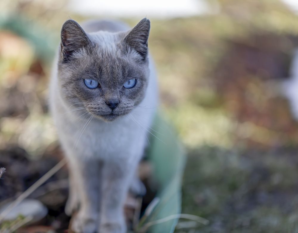 Photograph by Татьяна Феденкова