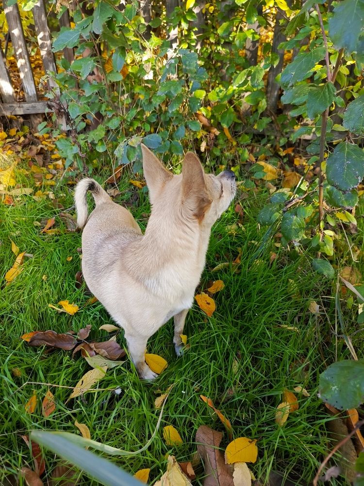 Photograph by Татьяна Пальчикова