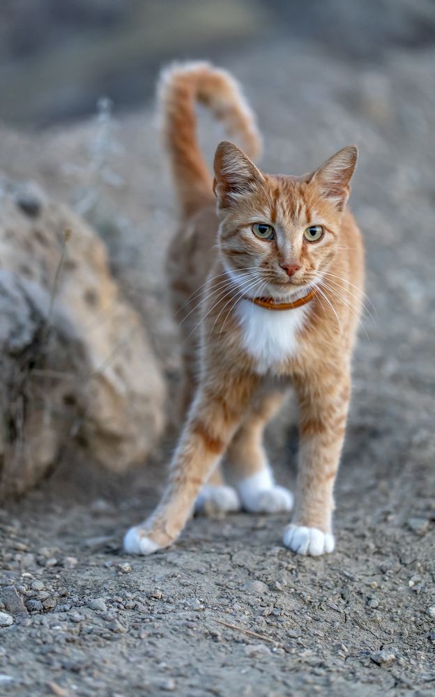 Photograph by Татьяна Феденкова