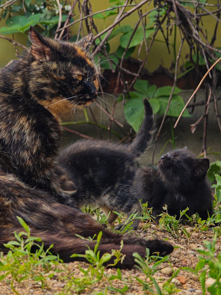 Photograph by Екатерина Кирьянова