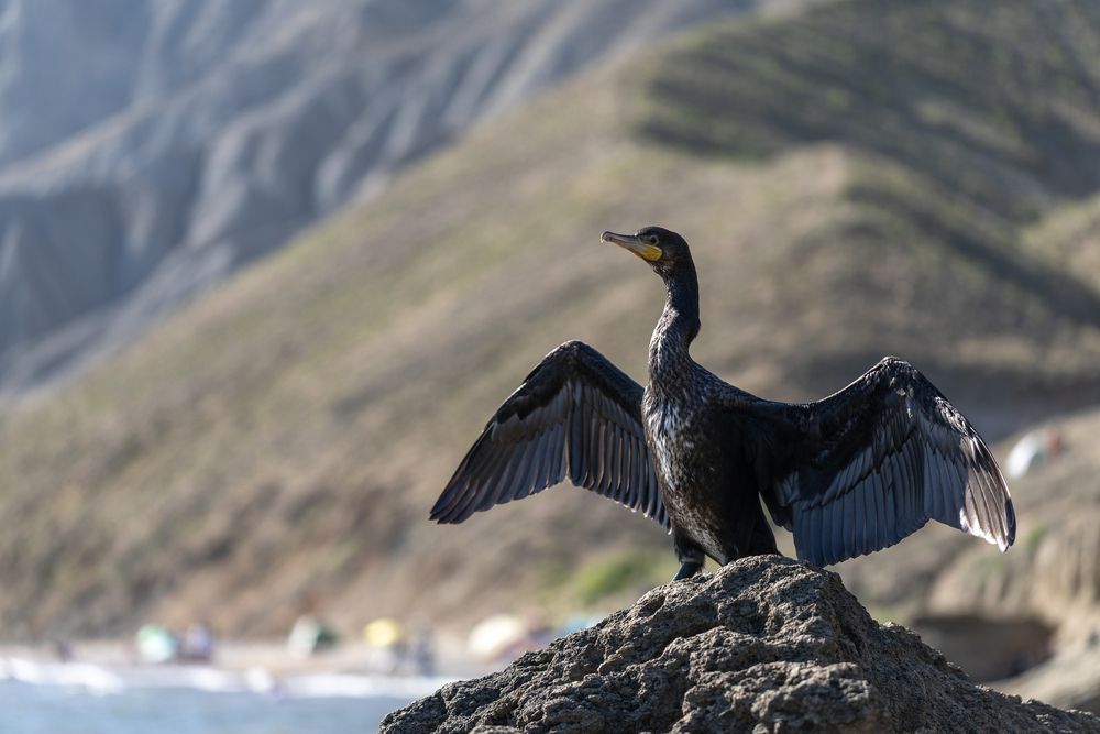 Photograph by Татьяна Феденкова