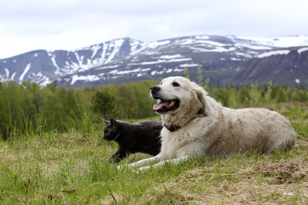 Photograph by Сергей Дорожкин
