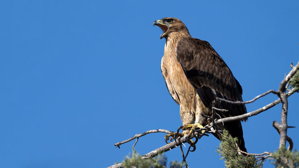 Photograph by Eren Aksoylu