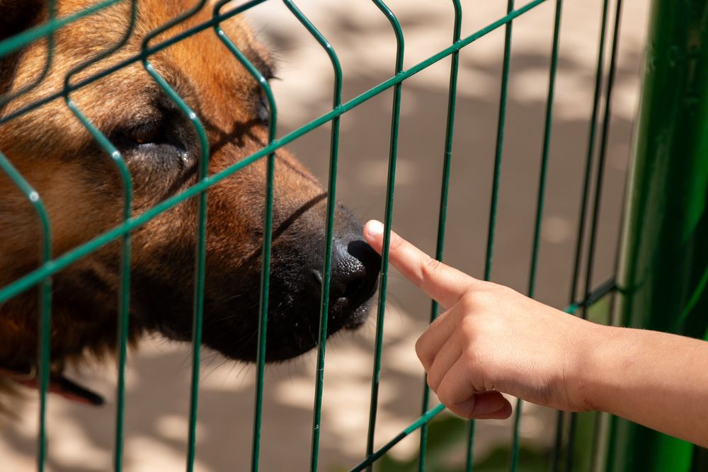 Фотография автора Олег Бугаев
