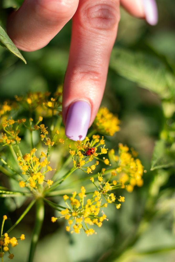 Photograph by Бугаев Олег