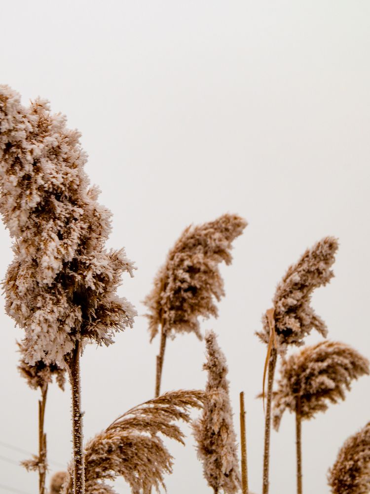 Фотография автора Олег Бугаев