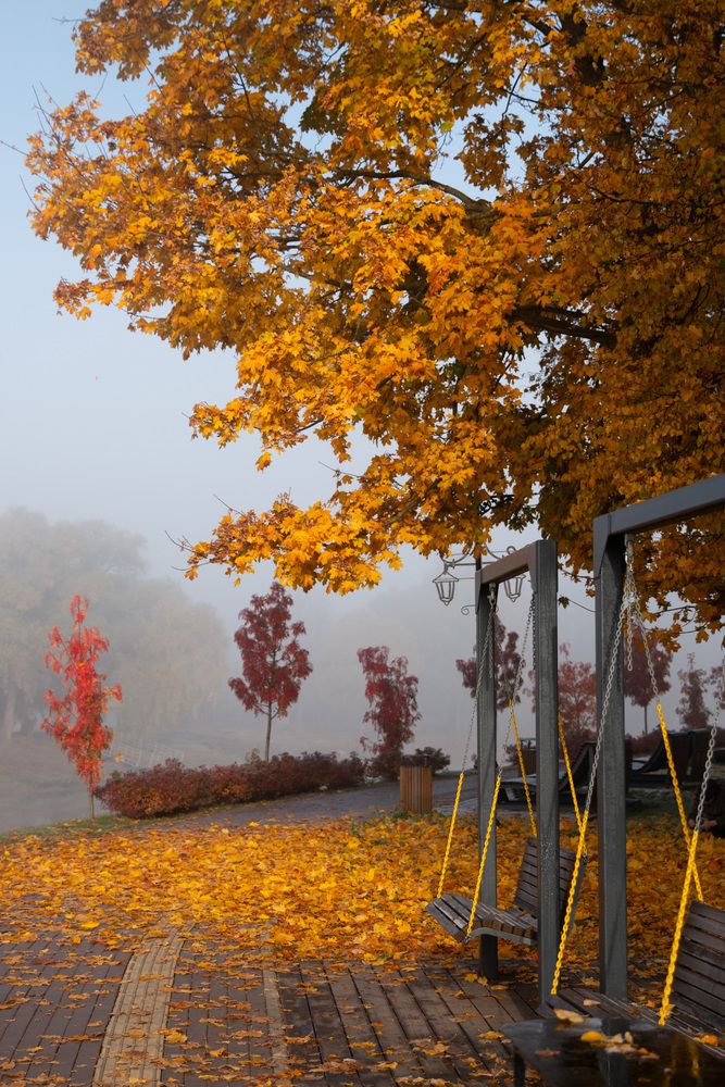 Фотография автора Олег Бугаев