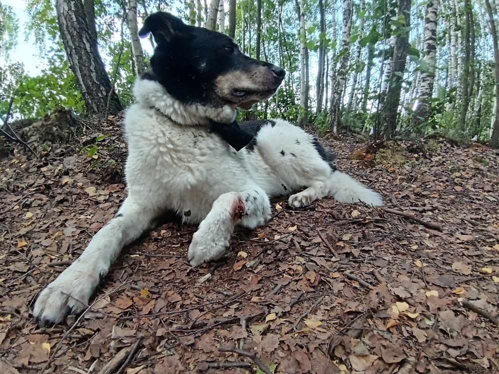 Photo #12784197