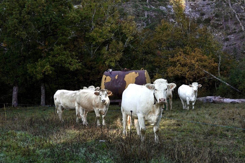 Photograph by Marina Odintsova