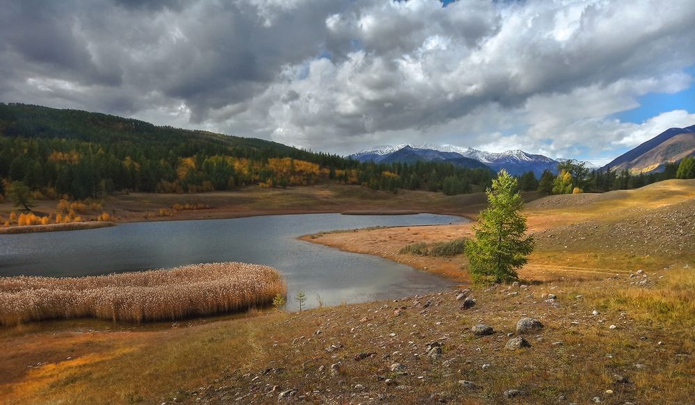 Фотография автора Александр Попов