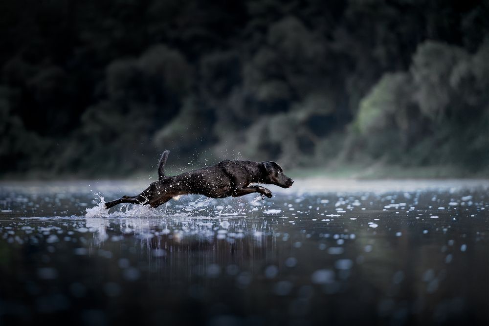 Photograph by Kelemen Tímea